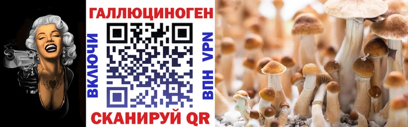 Псилоцибиновые грибы ЛСД  купить наркоту  Иваново 